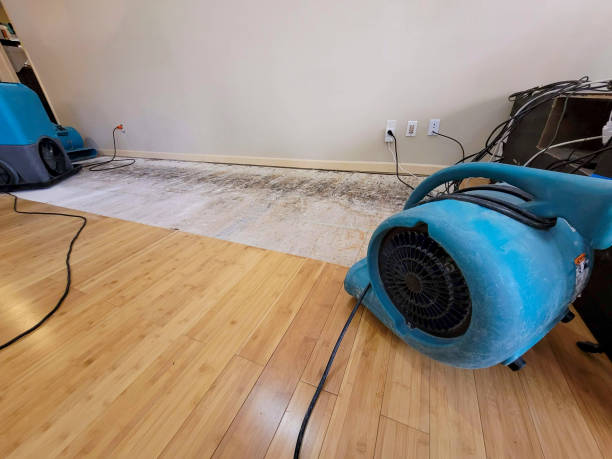 Professional Structural Drying technician working in Pleasureville, KY